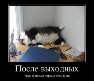 Смотрите также