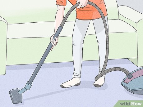 Step 4 При необходимости сделайте уборку в доме.